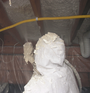 Birmingham AL crawl space insulation